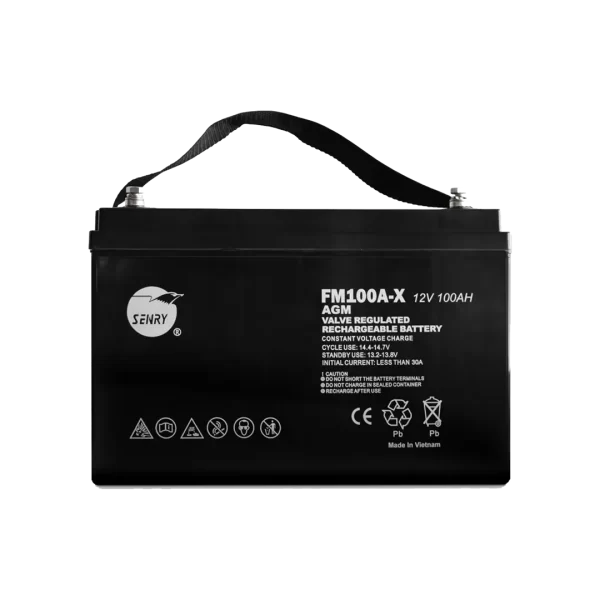 RCT Senry 6FM100A-X 12V 100Ah Battery